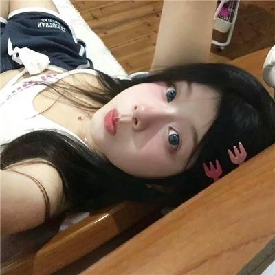 野猫